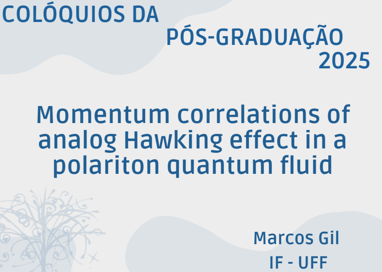 Momentum correlations of analog Hawking effect in a polariton quantum fluid (21/05)